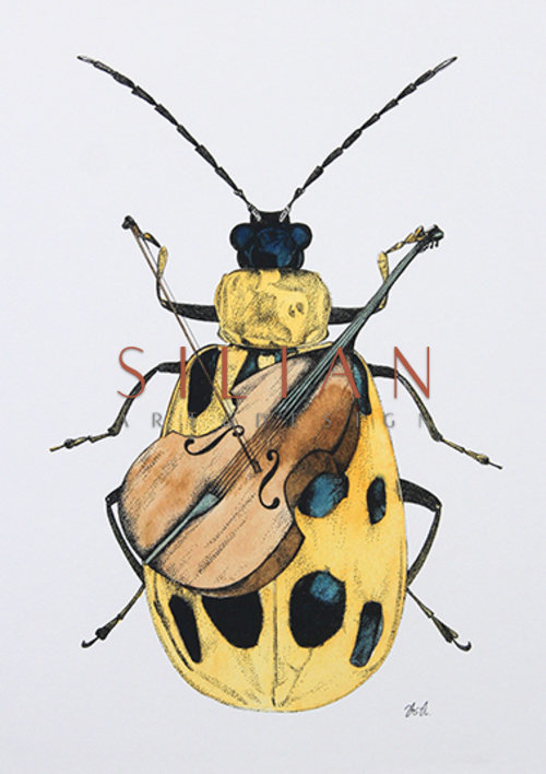 Beetle Study II
