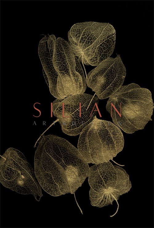 Black And Golden Plants VI