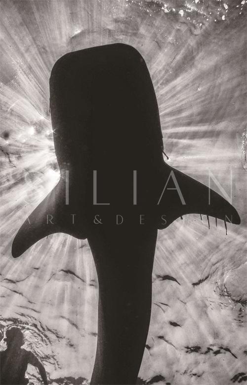 Whale II