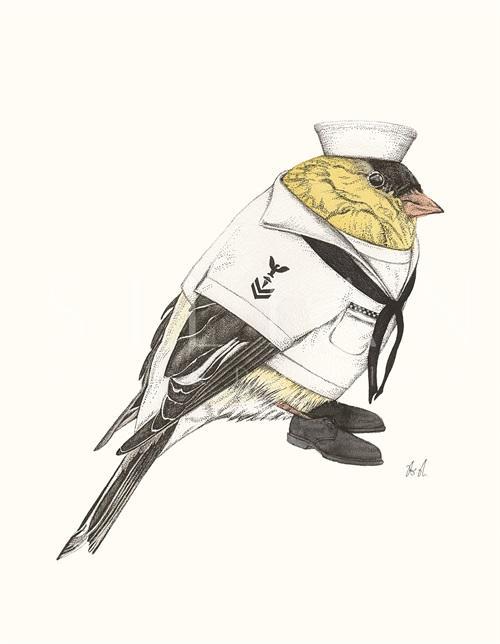 Bird Police Officer I