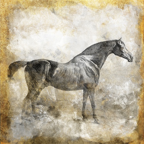 Black Horse II