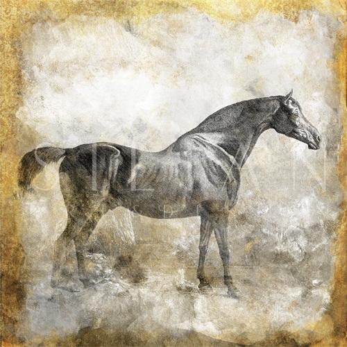 Black Horse II