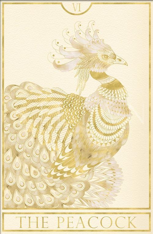The Peacock