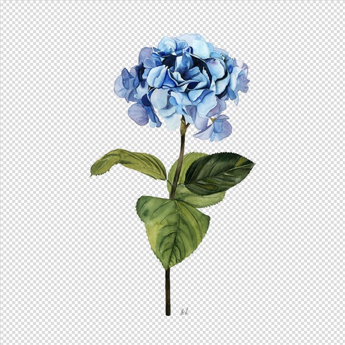 灿烂的花 IV
