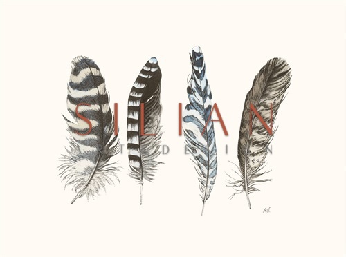 Cyanotype Feathers III