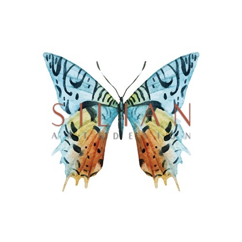 Butterfly Specimen II