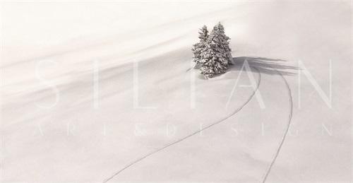 Skiing