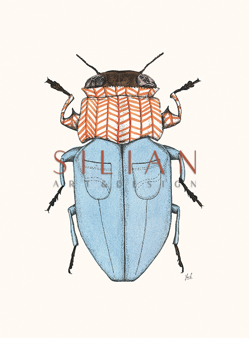Insect Closeup
