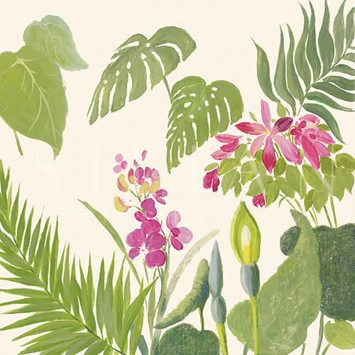 热带植物 II