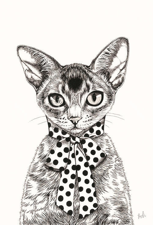 Funny Animals II