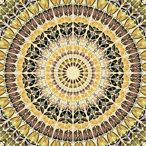 Mandala Pattern  II