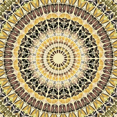 Mandala Pattern  II