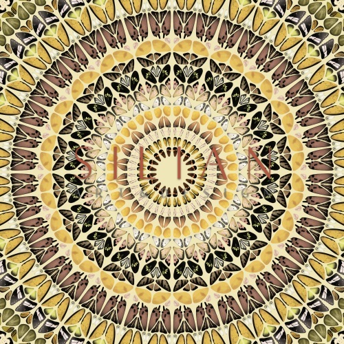 Mandala Pattern  II