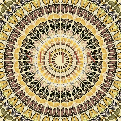 Mandala Pattern  II