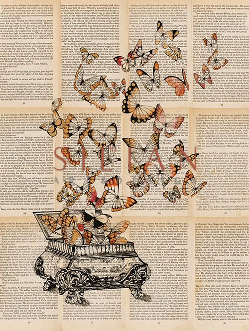 Utensils And The Butterfly VI