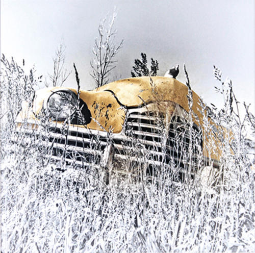 Gold Classic Car