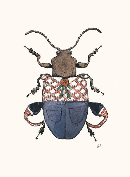 Insect Closeup
