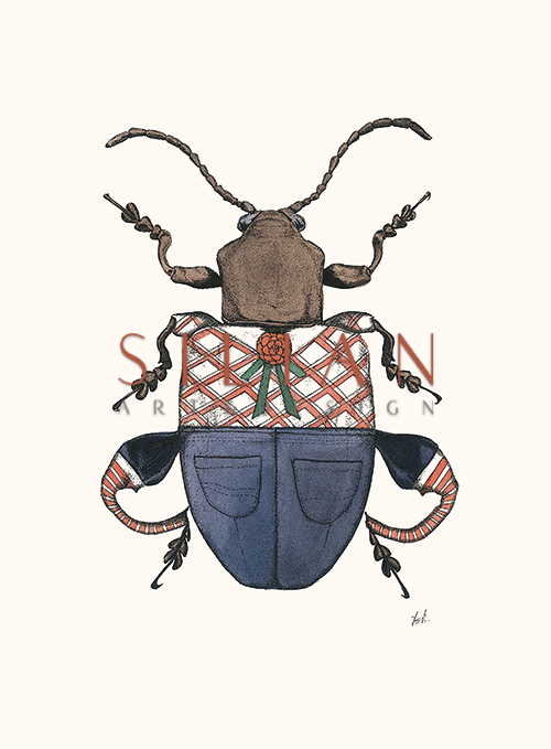 Insect Closeup