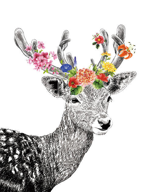 Cerf Axis