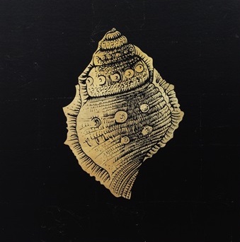 金箔贝壳 II
