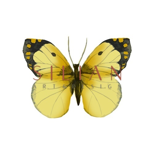 Butterfly Specimen III