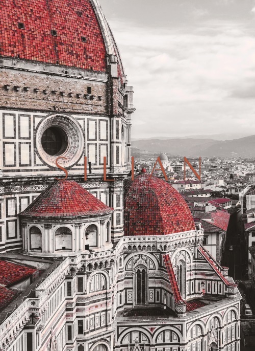 Florence Cathedral I