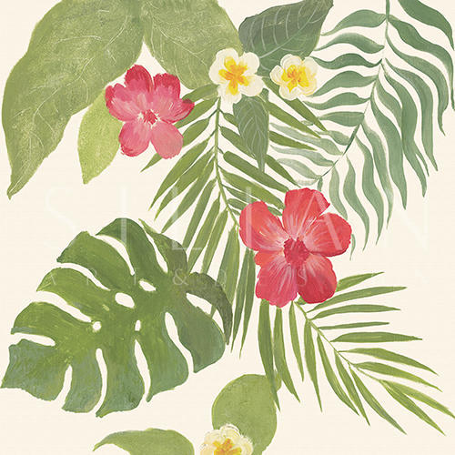 热带植物 III