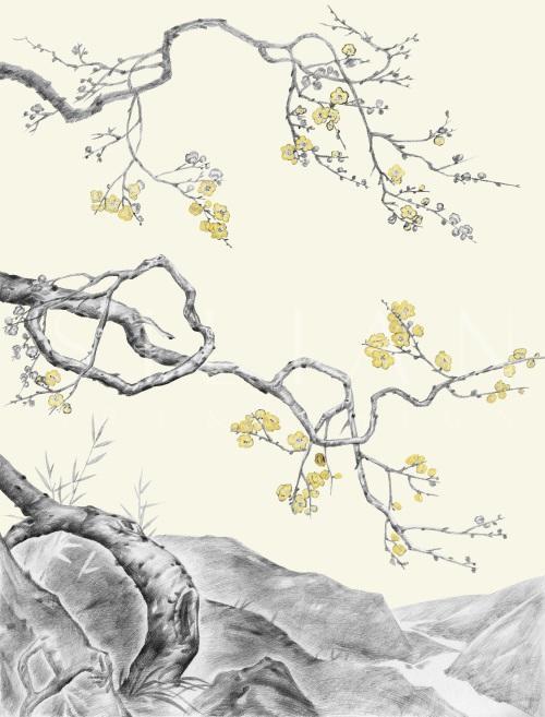 Botanical Sketch Black & White IV