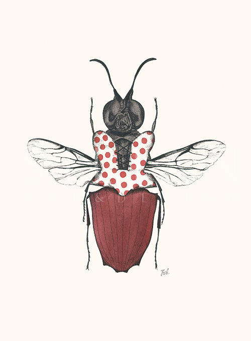 Insect Closeup