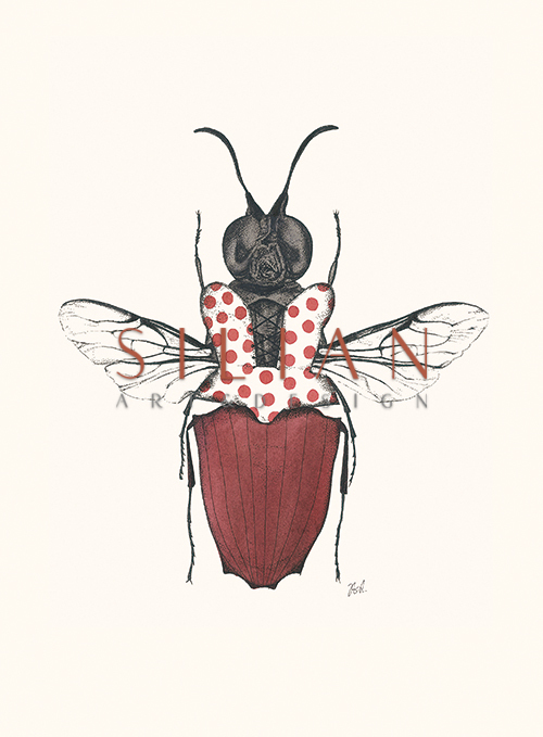 Insect Closeup