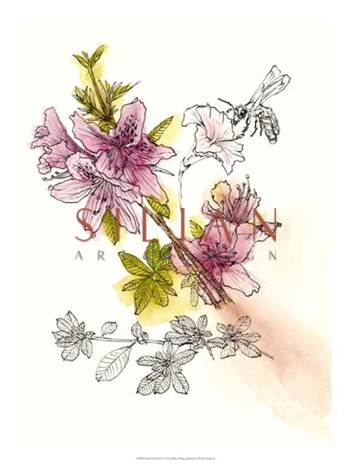 Floral Field Notes I