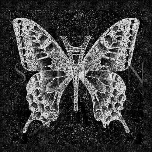  In the Time of the Butterflies‎ II