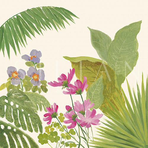 热带植物 I