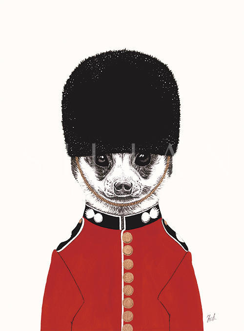 British Themed Animal