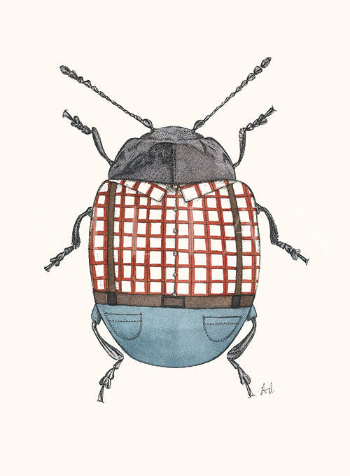 Insect Closeup