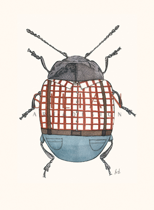 Insect Closeup