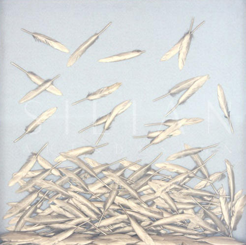 金色实物画 I