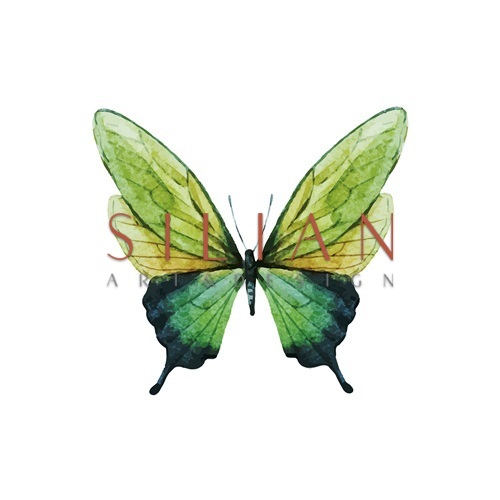 Butterfly Specimen I