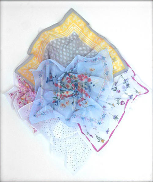 Silk Scarf