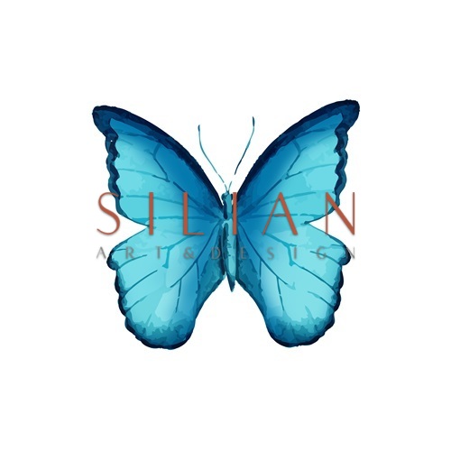 Butterfly Specimen IV