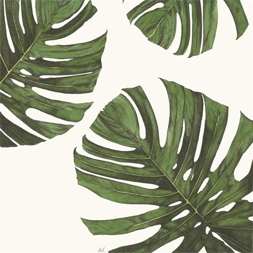 Tropical Display III