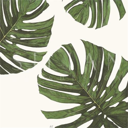 Tropical Display III