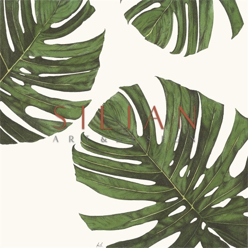 Tropical Display III