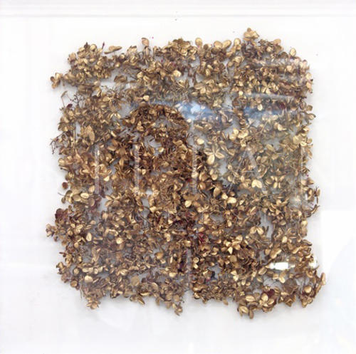 金色实物画 II