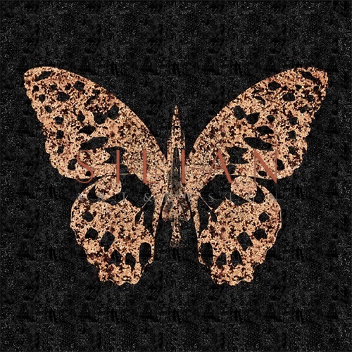  In the Time of the Butterflies‎ I