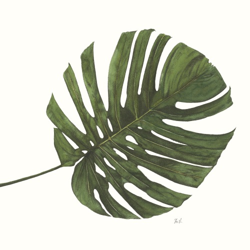 Tropical Display II