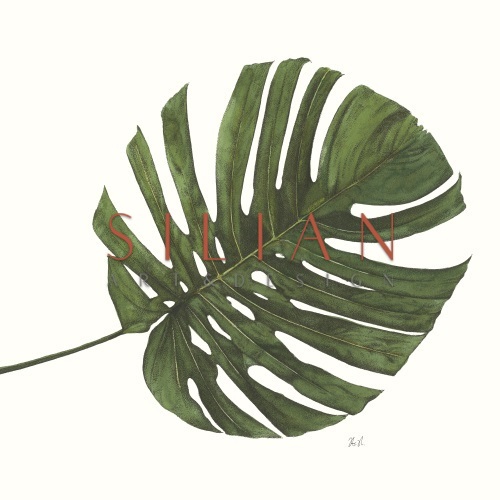 Tropical Display II