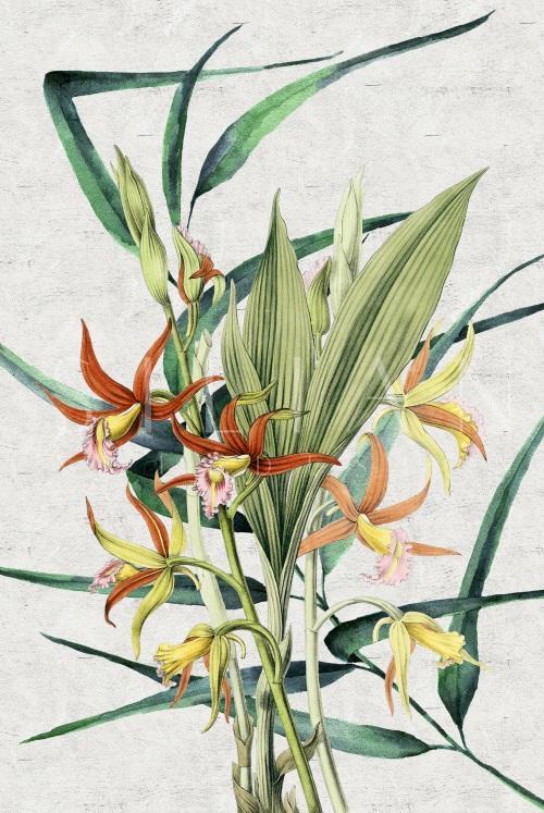 Tropical Variety III
