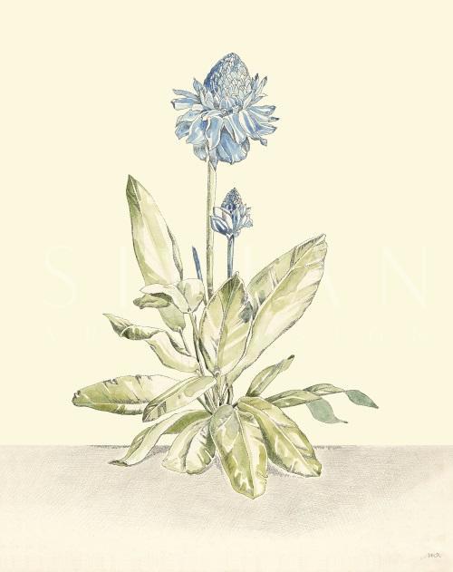 Indigo Floral III