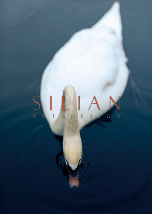 White Swan